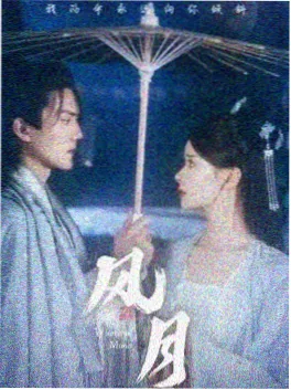 丝瓜影视文艺电影 盐与月光 海报